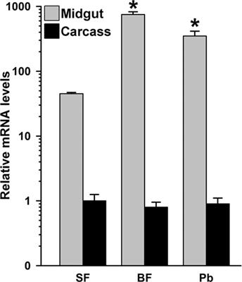 Anopheles stephensi Heme Peroxidase HPX15 Suppresses Midgut Immunity to Support Plasmodium Development